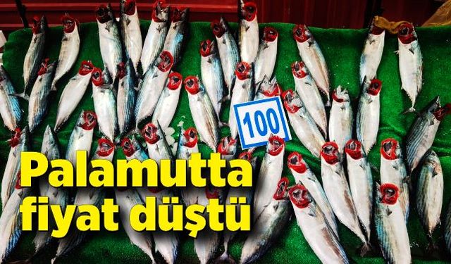 Palamutta fiyat düştü tane 80 TL