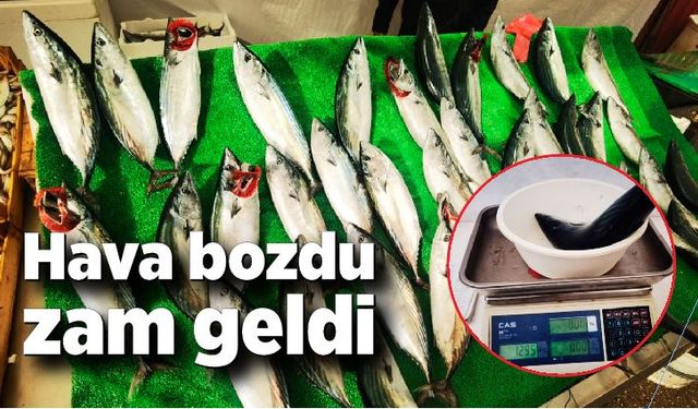 Hava bozdu, balığa zam geldi