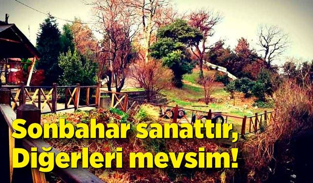 Sonbahar sanattır, diğerleri mevsim!