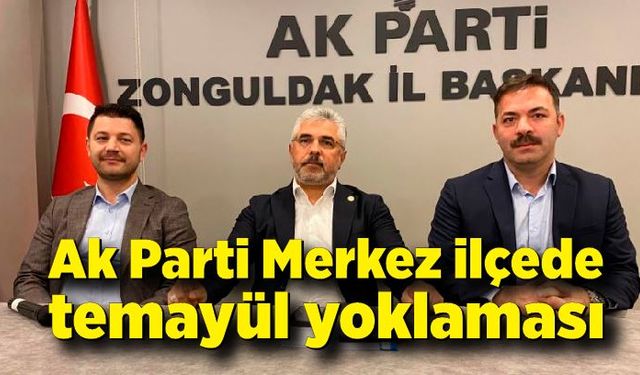 Ak Parti Merkez ilçede temayül yoklaması