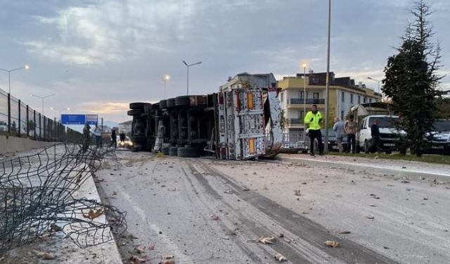 Kontrolden çıkan tır altyola uçtu : 1 yaralı