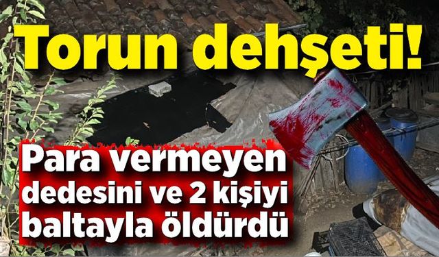 Torun dehşeti: Para vermeyen dedesini ve 2 kişiyi öldürdü