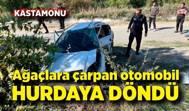 Ağaçlara çarpan otomobilin sürücüsü ağır yaralandı