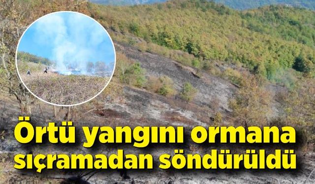 Faciadan dönüldü; Örtü yangını ormana sıçramadan söndürüldü