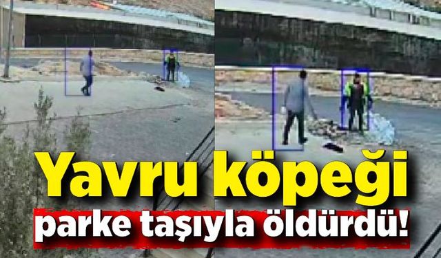 Yavru köpeği parke taşıyla öldüren şüpheli gözaltına alındı