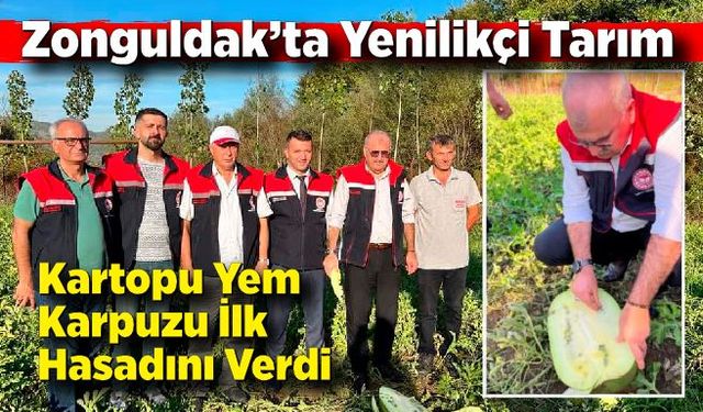 Zonguldak’ta Yenilikçi Tarım: Kartopu Yem Karpuzu İlk Hasadını Verdi