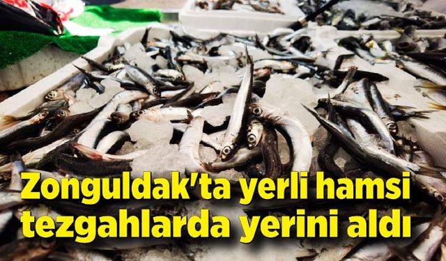 Zonguldak'ta yerli Hamsi tezgahlarda yerini aldı