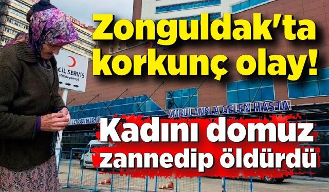 Zonguldak'ta dehşet! Kadını domuz zannedip öldürdü