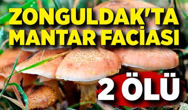 Zonguldak'ta mantar faciası; 2 ölü, 1 kişi yoğun bakımda