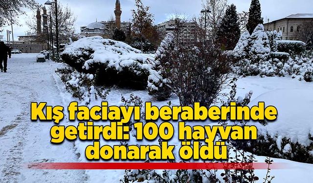 Kış faciayı beraberinde getirdi: 100 hayvan donarak öldü