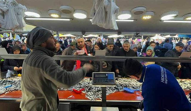 Bolu'da balık izdihamı, vatandaşlar sıraya girdi