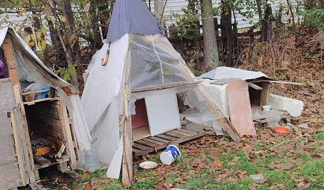 Köpek kulübelerini ateş verdi, tepki gösterene de bıçak çekti