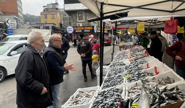 Tezgahların gözdesi hamsi oldu