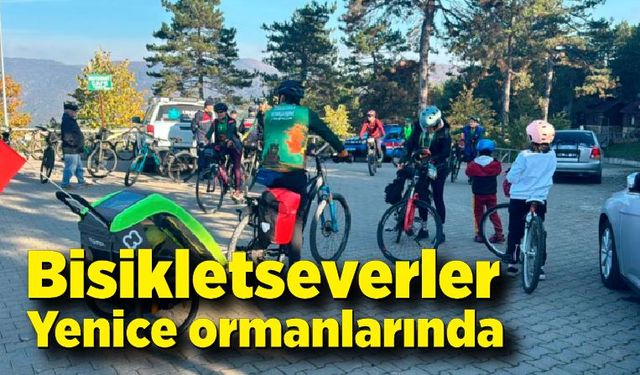 Bisikletseverler Yenice ormanlarında