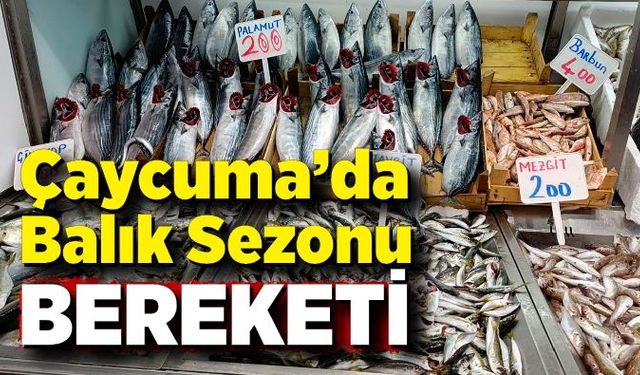 Çaycuma’da Balık Sezonu Bereketi: Tezgahlar Dolup Taşıyor