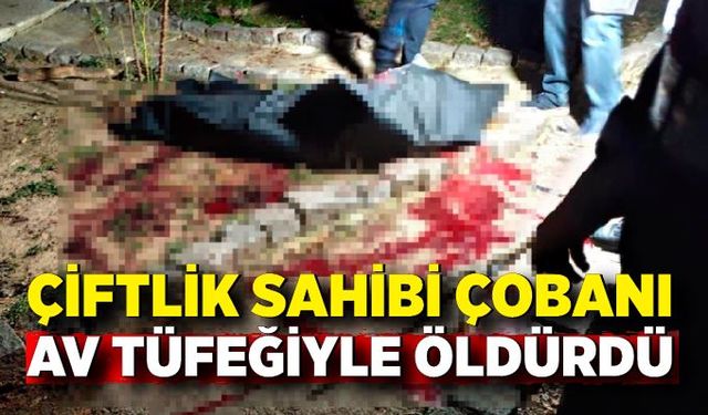 Çiftlik sahibi çobanı av tüfeğiyle öldürdü