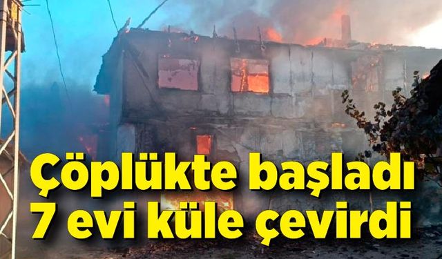 Çöplükte başlayan yangın 7 ev ve 4 hayvan barınağı küle çevirdi