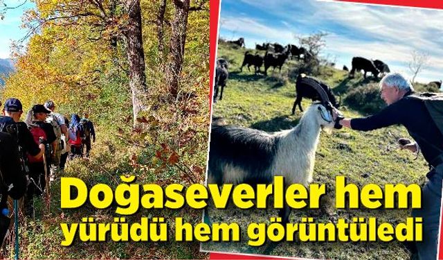 Doğaseverler hem yürüdü hem görüntüledi