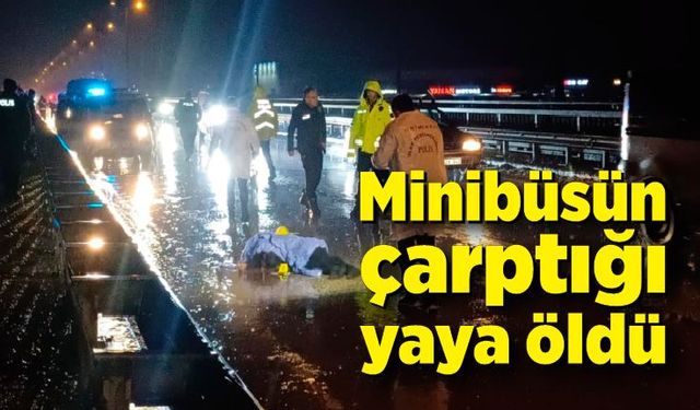 Yolcu minibüsünün çarptığı yaya hayatını kaybetti