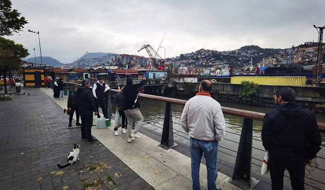 Zonguldak'ta oltasını alan vatandaş köprüye koştu!