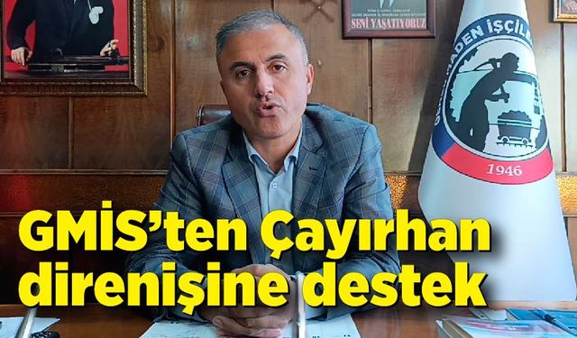 GMİS’ten Çayırhan direnişine destek: “Özelleştirme ülkeye zarar veriyor”