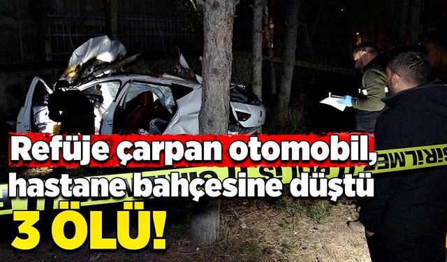 Refüje çarpan otomobil, hastane bahçesine düştü: 3 ölü