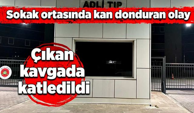 Sokak ortasında kan donduran olay: Çıkan kavgada katledildi