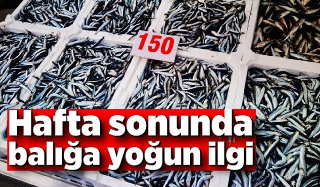 Hafta sonunda balığa  yoğun ilgi! Kasalarca hamsi kısa sürede tükendi