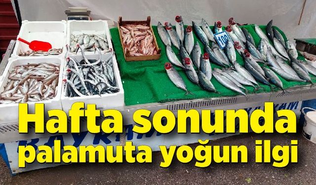 Hafta sonunda palamuta yoğun ilgi