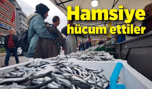 Hamsiye hücum ettiler