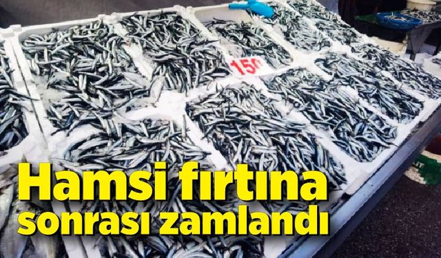 Hamsi fırtına sonrası zamlandı