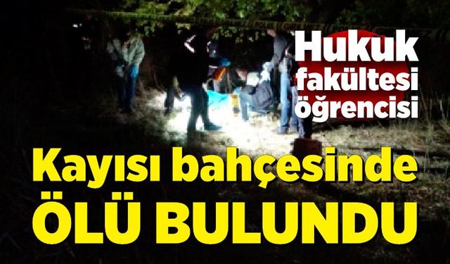 Hukuk fakültesi öğrencisi kayısı bahçesinde ölü bulundu