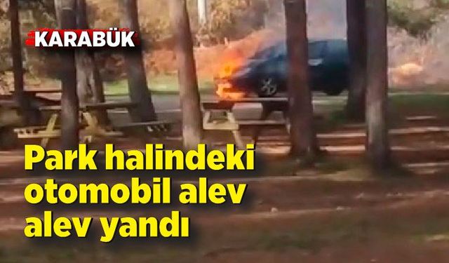 Park halindeki otomobil alev alev yandı