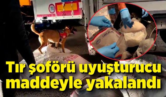 Tır şoförü uyuşturucu maddeyle yakalandı