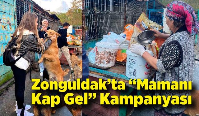 Zonguldak’ta “Mamanı Kap Gel” Kampanyasıyla Hayvanlara Destek