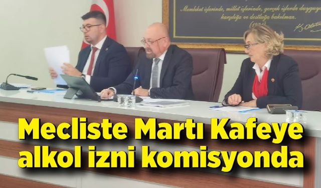 Martı Kafeye alkol izin maddesi komisyonda