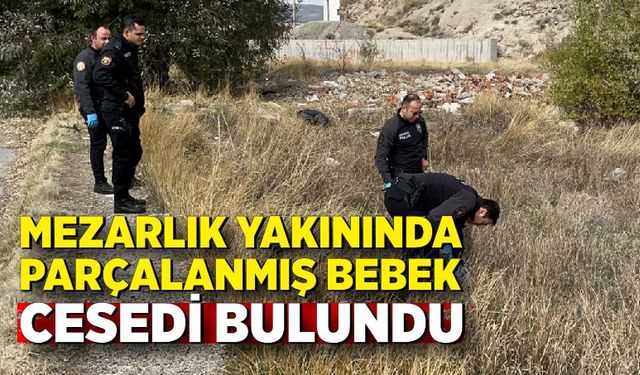 Mezarlık yakınında parçalanmış bebek cesedi bulundu