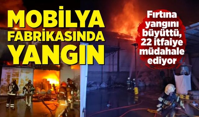 Mobilya fabrikasında yangın...Fırtına yangını büyüttü, 22 itfaiye müdahale ediyor