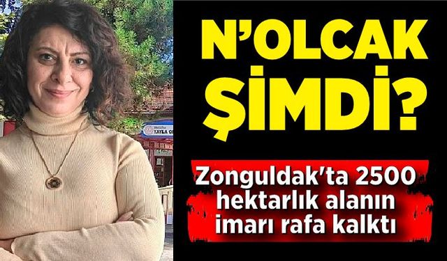 Zonguldak'ta 2500 hektarlık alanın imarı rafa kalktı