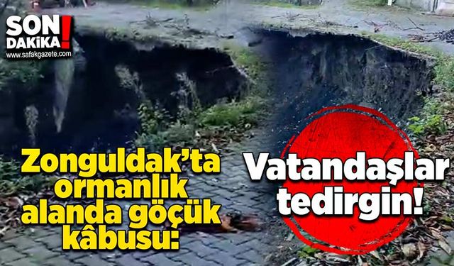 Zonguldak’ta ormanlık alanda göçük kabusu: Vatandaşlar tedirgin!