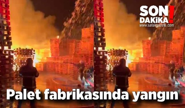 Palet fabrikasında yangın