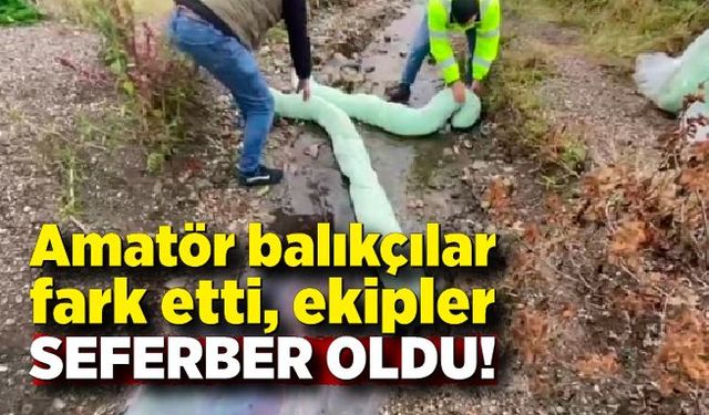 Amatör balıkçılar fark etti, ekipler seferber oldu