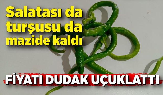 Salatası da turşusu da mazide kaldı