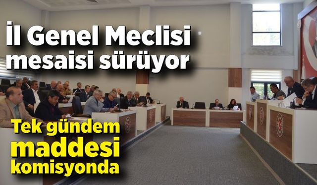 İl Genel Meclisi mesaisi sürüyor; Tek gündem maddesi komisyonda