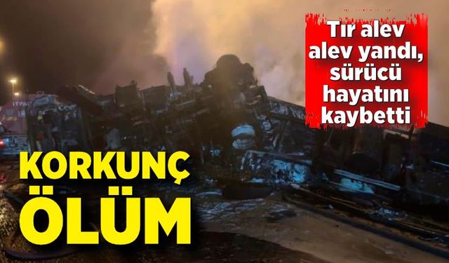 Kaza yapan tır alev alev yandı: Sürücü hayatını kaybetti