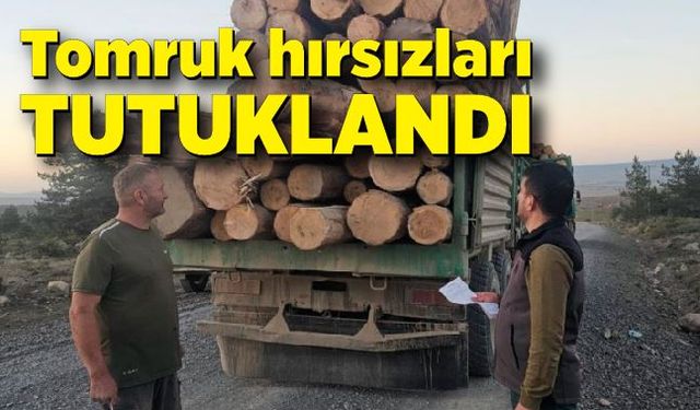 Tomruk hırsızları yakayı ele verdi: Tutuklandılar