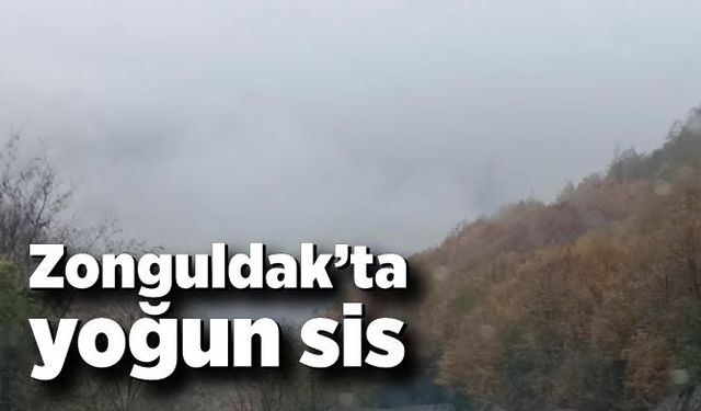 Zonguldak’ta yoğun sis