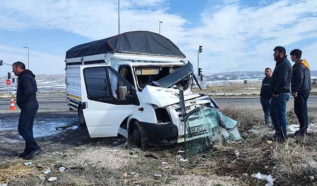 Kazada firar eden inek kendiliğinden geri döndü