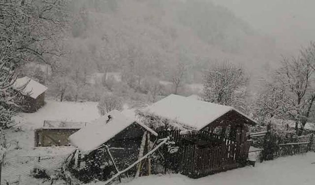 Kastamonu'da kar yağışı etkili oldu