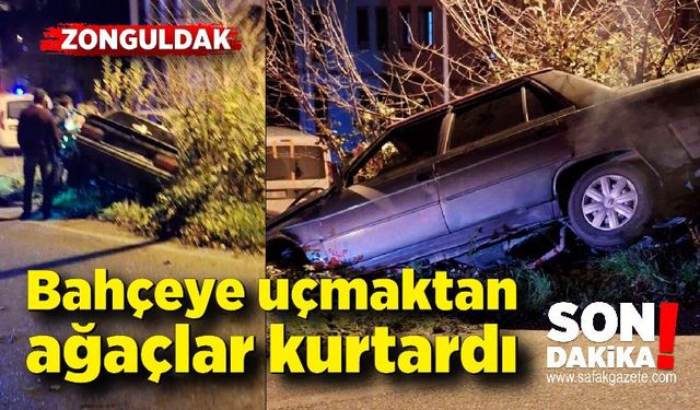 Bahçeye uçmaktan ağaçlar kurtardı